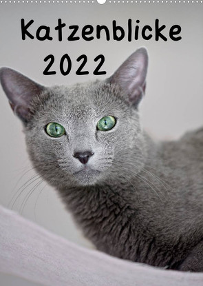 Katzenblicke 2022 (Wandkalender 2022 DIN A2 hoch) von Bollich,  Heidi