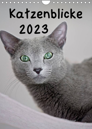 Katzenblicke 2023 (Wandkalender 2023 DIN A4 hoch) von Bollich,  Heidi