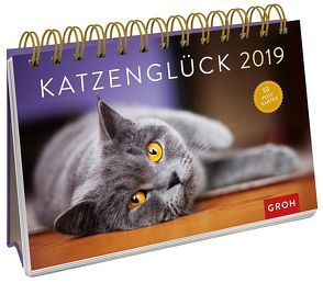 Katzenglück 2019 von Groh Redaktionsteam