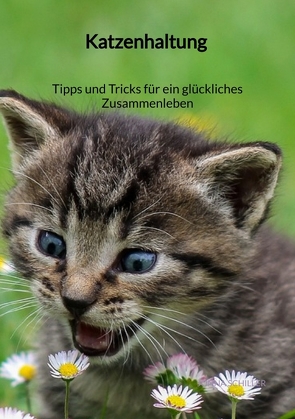 Katzenhaltung – Tipps und Tricks für ein glückliches Zusammenleben von Schiller,  Jonna