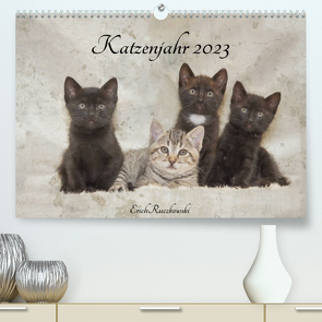 Katzenjahr 2023 (Premium, hochwertiger DIN A2 Wandkalender 2023, Kunstdruck in Hochglanz) von Ruczkowski,  Erich