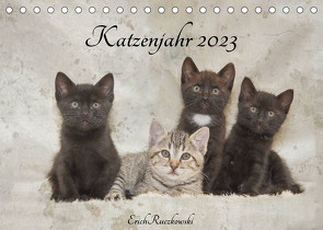 Katzenjahr 2023 (Tischkalender 2023 DIN A5 quer) von Ruczkowski,  Erich