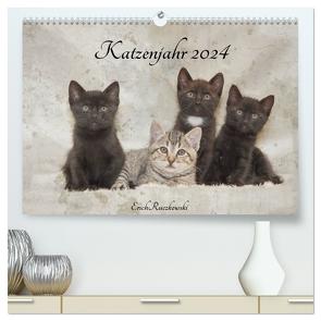 Katzenjahr 2024 (hochwertiger Premium Wandkalender 2024 DIN A2 quer), Kunstdruck in Hochglanz von Ruczkowski,  Erich