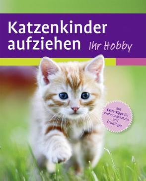 Katzenkinder aufziehen von Evans,  Mark
