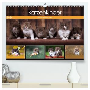 Katzenkinder – Britisch Kurzhaar (hochwertiger Premium Wandkalender 2024 DIN A2 quer), Kunstdruck in Hochglanz von Sabi Fotografie by Janina Bürger,  Wabi