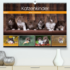 Katzenkinder – Britisch Kurzhaar (Premium, hochwertiger DIN A2 Wandkalender 2021, Kunstdruck in Hochglanz) von Sabi Fotografie by Janina Bürger,  Wabi