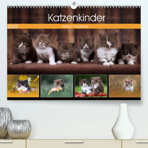 Katzenkinder – Britisch Kurzhaar (Premium, hochwertiger DIN A2 Wandkalender 2022, Kunstdruck in Hochglanz) von Sabi Fotografie by Janina Bürger,  Wabi