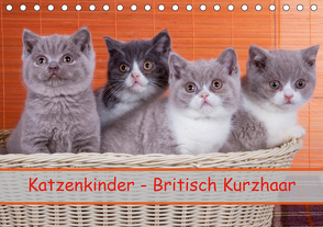 Katzenkinder Britisch Kurzhaar (Tischkalender 2021 DIN A5 quer) von Wejat-Zaretzke,  Gabriela