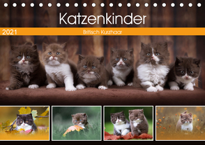 Katzenkinder – Britisch Kurzhaar (Tischkalender 2021 DIN A5 quer) von Sabi Fotografie by Janina Bürger,  Wabi