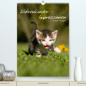 Katzenkinder – Impressionen (Premium, hochwertiger DIN A2 Wandkalender 2023, Kunstdruck in Hochglanz) von Danegger,  Susanne