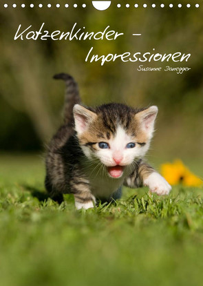 Katzenkinder – Impressionen (Wandkalender 2023 DIN A4 hoch) von Danegger,  Susanne