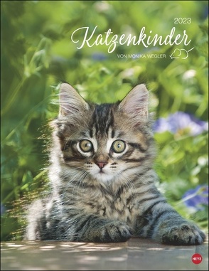 Katzenkinder Posterkalender 2023 von Monika Wegler. Unwiderstehliche Katzenbabys im Porträt. Ein großer Wandkalender mit vielen Fotos und Geschichten. Dekorativer Katzen-Kalender von Heye, Wegler,  Monika