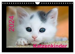 Katzenkinder (Wandkalender 2024 DIN A4 quer), CALVENDO Monatskalender von Weirauch,  Michael