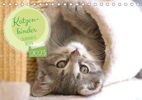 Katzenkinder – zauberhafte Wesen (Tischkalender 2023 DIN A5 quer) von Merk,  Angela