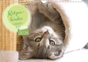 Katzenkinder – zauberhafte Wesen (Wandkalender 2024 DIN A4 quer), CALVENDO Monatskalender von Merk,  Angela