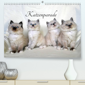 Katzenparade (Premium, hochwertiger DIN A2 Wandkalender 2022, Kunstdruck in Hochglanz) von Chrystal,  Jennifer