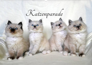 Katzenparade (Wandkalender 2022 DIN A2 quer) von Chrystal,  Jennifer