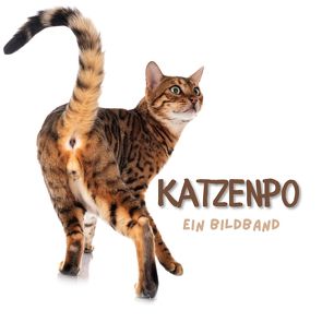 Katzenpo von Gruber,  Stefan