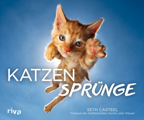 Katzensprünge von Casteel,  Seth