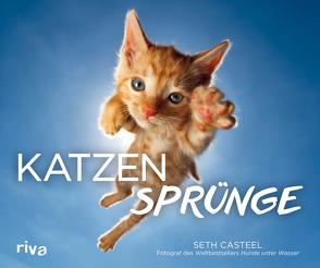 Katzensprünge von Casteel,  Seth