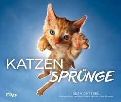 Katzensprünge von Casteel,  Seth