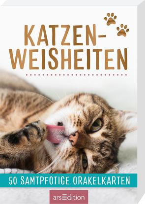 Katzenweisheiten