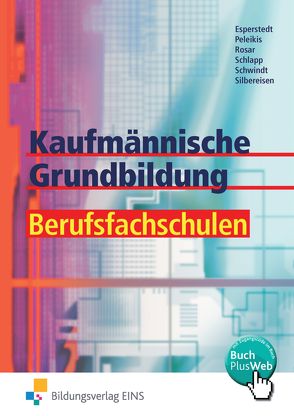 Kaufmännische Grundbildung für Berufsfachschulen von Esperstedt,  Erik, Peleikis,  Olaf, Rosar,  Günter, Schlapp,  Stefan, Schwindt,  Günter, Silbereisen,  Claus-Dieter