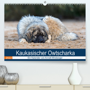 Kaukasischer Owtscharka (Premium, hochwertiger DIN A2 Wandkalender 2022, Kunstdruck in Hochglanz) von Mirsberger,  Annett