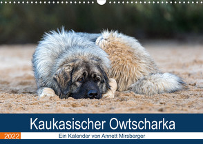 Kaukasischer Owtscharka (Wandkalender 2022 DIN A3 quer) von Mirsberger,  Annett