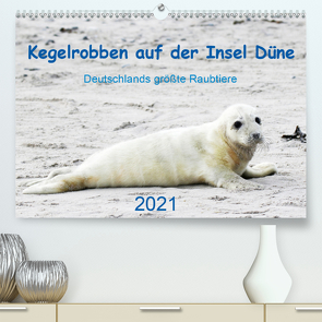 Kegelrobben auf der Insel Düne (Premium, hochwertiger DIN A2 Wandkalender 2021, Kunstdruck in Hochglanz) von Wilhelm,  N.