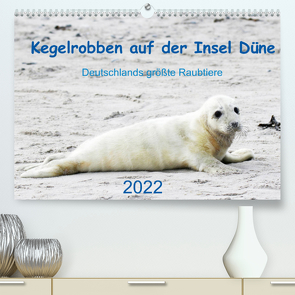 Kegelrobben auf der Insel Düne (Premium, hochwertiger DIN A2 Wandkalender 2022, Kunstdruck in Hochglanz) von Wilhelm,  N.