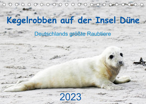 Kegelrobben auf der Insel Düne (Tischkalender 2023 DIN A5 quer) von Wilhelm,  N.