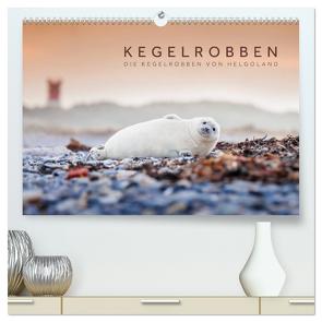 Kegelrobben – Die Kegelrobben von Helgoland (hochwertiger Premium Wandkalender 2024 DIN A2 quer), Kunstdruck in Hochglanz von Jackson,  Lain