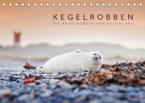 Kegelrobben – Die Kegelrobben von Helgoland (Tischkalender 2023 DIN A5 quer) von Jackson,  Lain