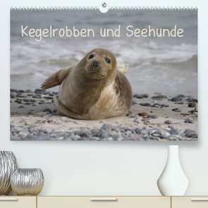 Kegelrobben und Seehunde (Premium, hochwertiger DIN A2 Wandkalender 2023, Kunstdruck in Hochglanz) von Lindert-Rottke,  Antje