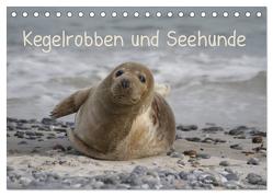 Kegelrobben und Seehunde (Tischkalender 2024 DIN A5 quer), CALVENDO Monatskalender von Lindert-Rottke,  Antje