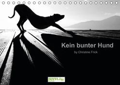 Kein bunter Hund (Tischkalender immerwährend DIN A5 quer) von Frick,  Christine