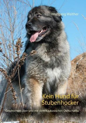 Kein Hund für Stubenhocker von Walther,  Wolfgang