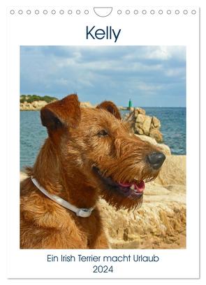 Kelly – Ein Irish Terrier macht Urlaub (Wandkalender 2024 DIN A4 hoch), CALVENDO Monatskalender von Schimon,  Claudia