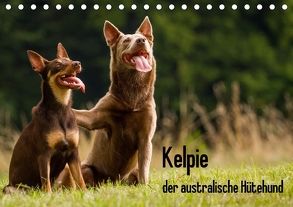 Kelpie – der australische Hütehund (Tischkalender 2018 DIN A5 quer) von Brickum,  Cornelia