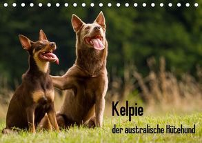 Kelpie – der australische Hütehund (Tischkalender 2019 DIN A5 quer) von Brickum,  Cornelia