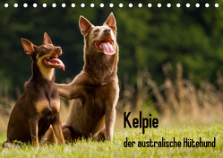 Kelpie – der australische Hütehund (Tischkalender 2020 DIN A5 quer) von Brickum,  Cornelia