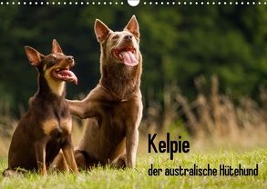 Kelpie – der australische Hütehund (Wandkalender 2018 DIN A3 quer) von Brickum,  Cornelia