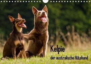 Kelpie – der australische Hütehund (Wandkalender 2018 DIN A4 quer) von Brickum,  Cornelia