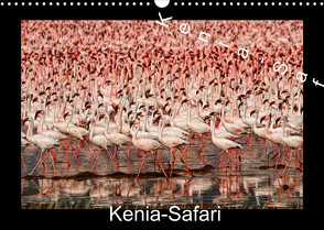 Kenia-Safari (Wandkalender 2022 DIN A3 quer) von DGPh, Stephan,  Gert