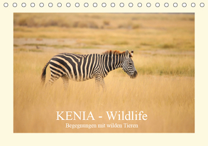 KENIA Wildlife – Begegnungen mit wilden Tieren (Tischkalender 2019 DIN A5 quer) von Demel,  Andreas