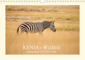 KENIA Wildlife – Begegnungen mit wilden Tieren (Wandkalender 2020 DIN A4 quer) von Demel,  Andreas