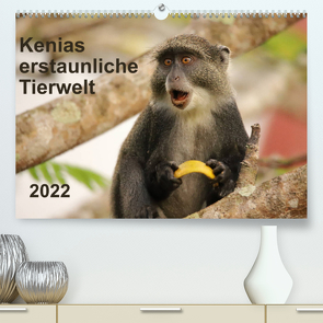 Kenias erstaunliche Tierwelt (Premium, hochwertiger DIN A2 Wandkalender 2022, Kunstdruck in Hochglanz) von Demel,  Andreas