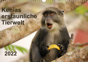 Kenias erstaunliche Tierwelt (Wandkalender 2022 DIN A3 quer) von Demel,  Andreas