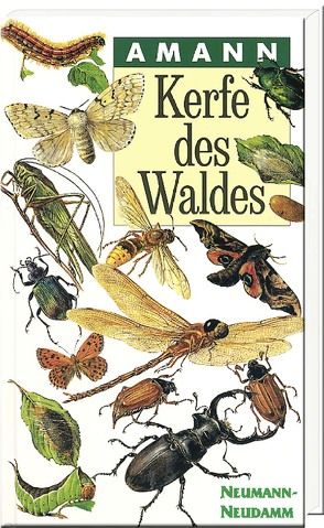 Kerfe des Waldes von Amann,  Gottfried